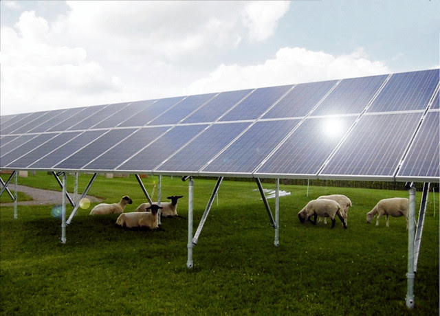 The 6 Best RV Solar Panels for Sustainable Power On All Your Adventures