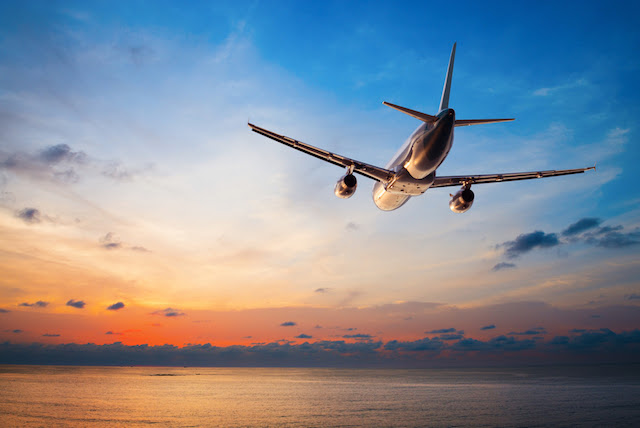 日本最大級ランキング １ みんなが満足した人気の航空会社はどこ 記事詳細 Infoseekニュース