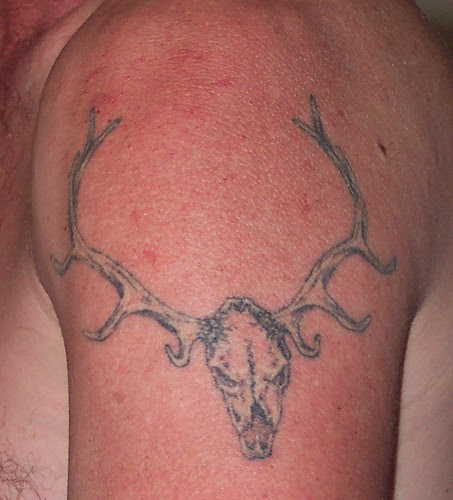 Eugene's Rattle Snake Tattoo · Eugene's Dragon · Eugene's Elk Tat 