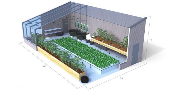 Energy-Efficient Aquaponics Greenhouses | Ceres Greenhouse