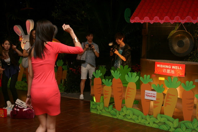 Gain Earth Chi at the 
Wishing Well, and sound the gong for better Human Chi in 2011!
