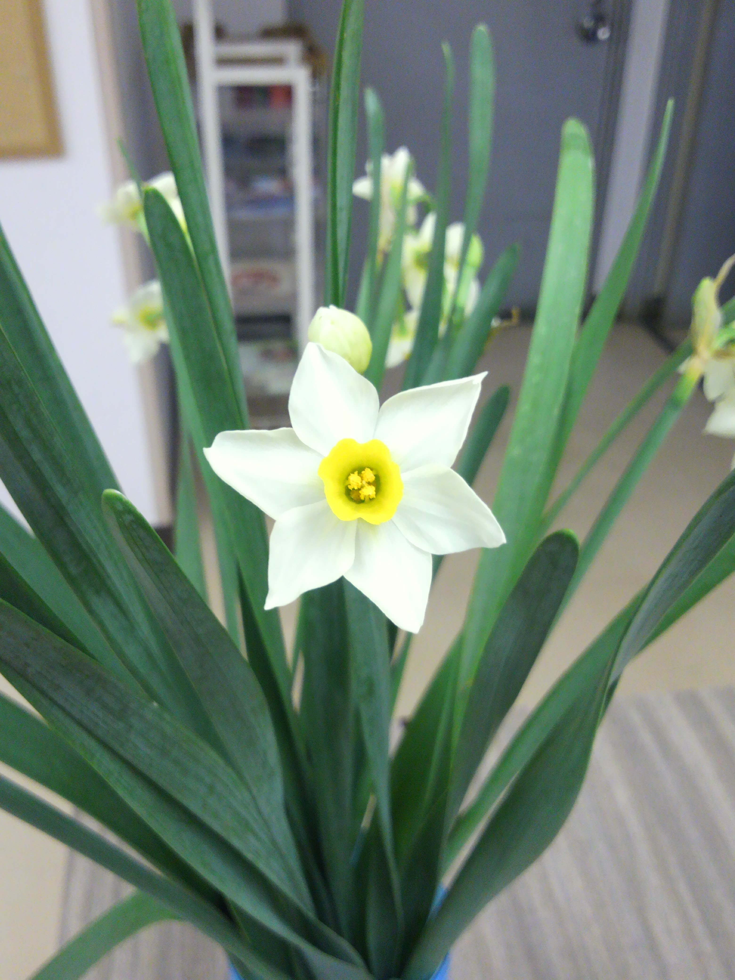 今年の漢字 市場ニュース 福井市中央卸売市場 福井県