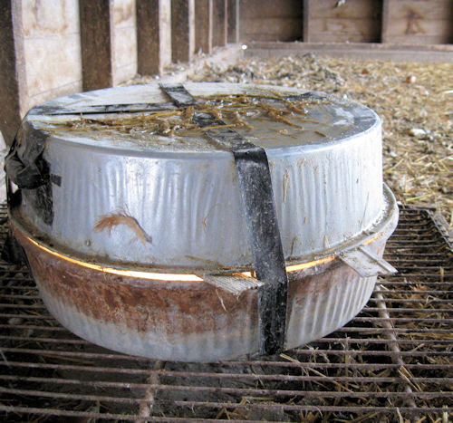 Chicken Heater