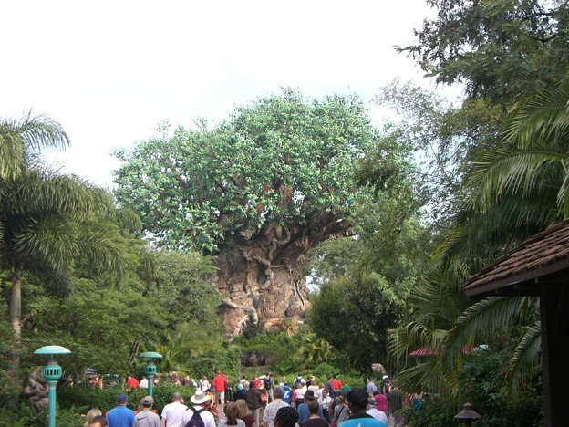 Disney S Animal Kingdom ディスカバリーアイランド 写真共有サイト フォト蔵