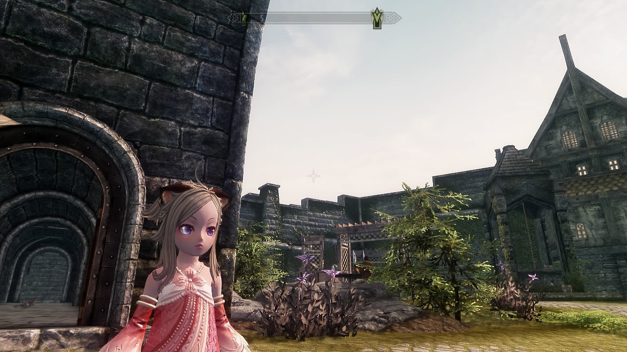 Skyrim Mod Tera Elin Race Imgur