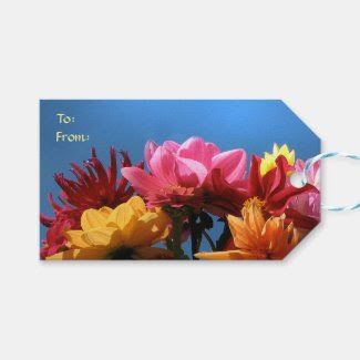 Colorful Dahlia Flowers Pack of Gift Tags