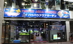 小売事業 株式会社 日本水族館 熱帯魚 水槽 器具の卸販売