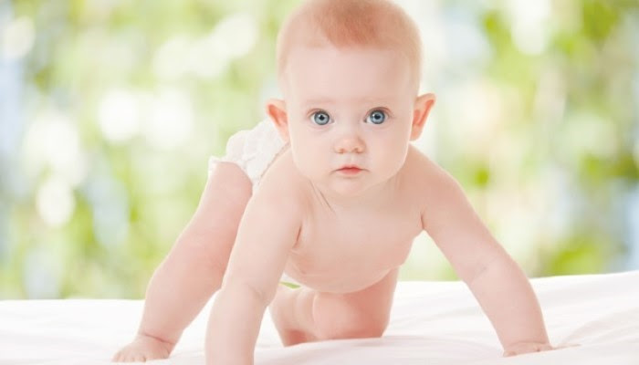 Les Differents Types De Quatre Pattes Bebes Et Mamans
