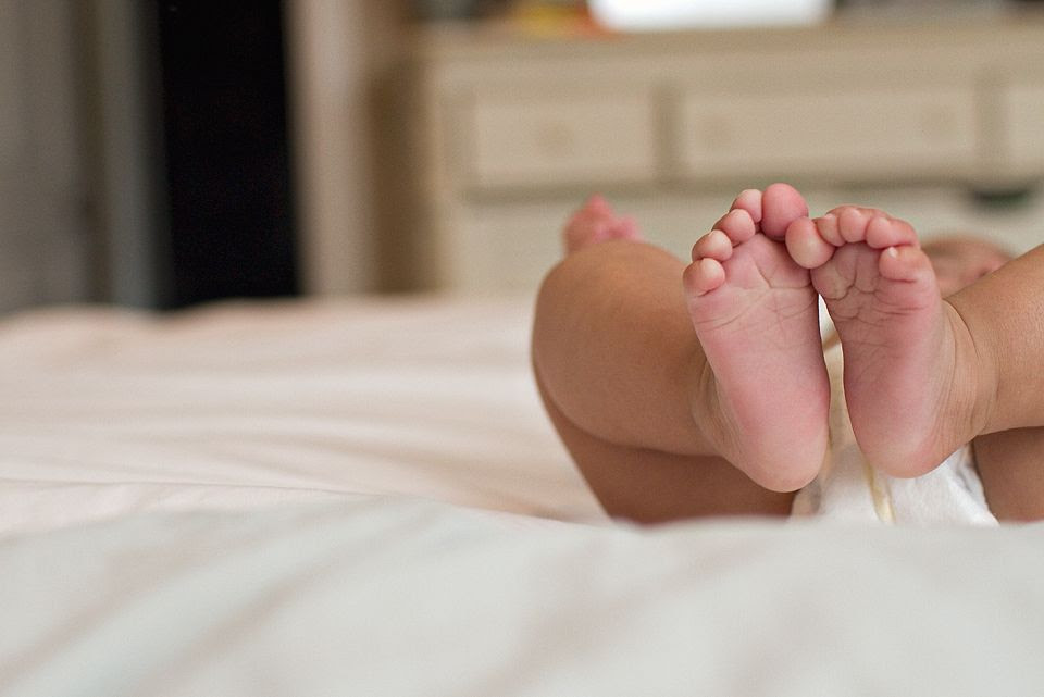  photo IMG_0734copy.jpg