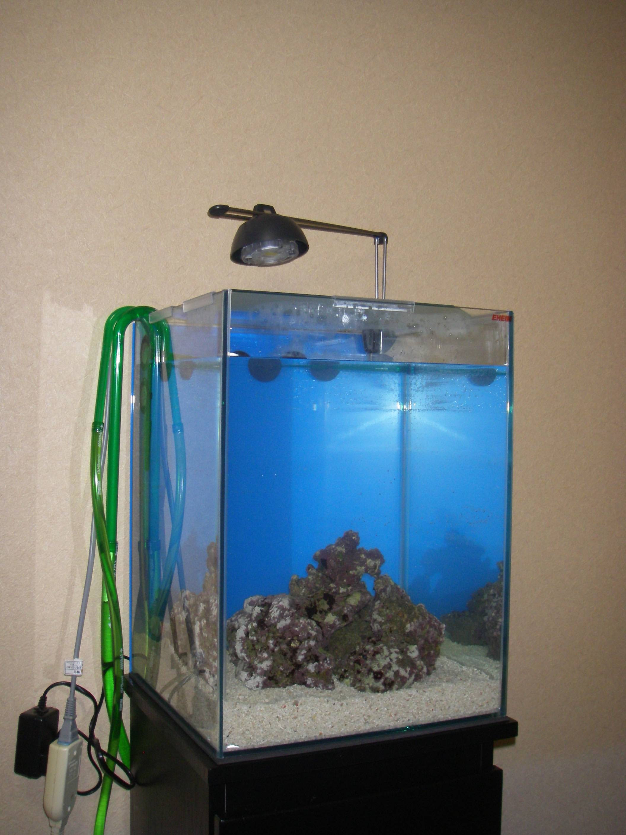 30cm水槽立ち上げ 照明ライト設置 最終セットアップ編 30cm水槽の海水魚飼育