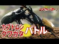 [ベスト] カブト かっこいい ヘラクレス オオカブト イラスト 142118