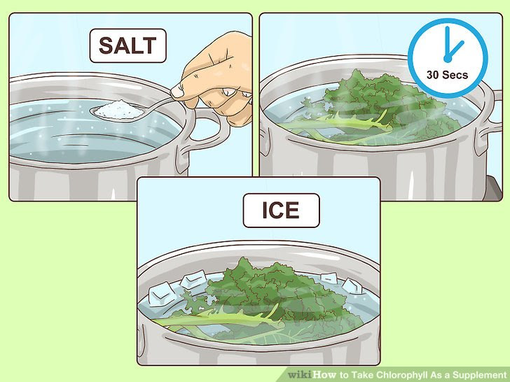 Take Chlorophyll As a Supplement Step 7.jpg