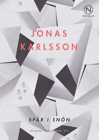 Spår i snön (e-bok)