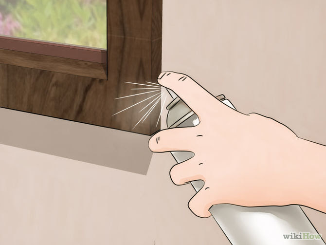 Get Rid of Spiders in the House Step 6 Version 3.jpg