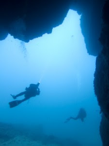 Isola Ustica Tauchen Auf Ustica