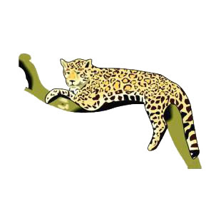 jaguar laying down