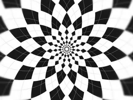 すべての美しい花の画像 ロイヤリティフリーモノトーン Pc 壁紙 モノクロ