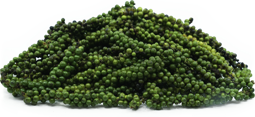 Peppercorns Information And Facts