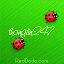 cong thong tin blog viet