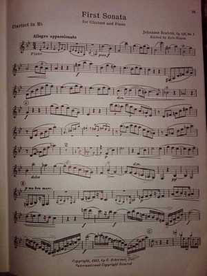 First Sonata mvmt 1 pg1