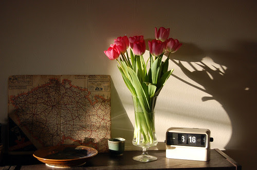 tulips, map