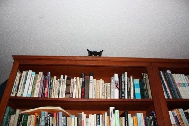 They Are Watching You Closely