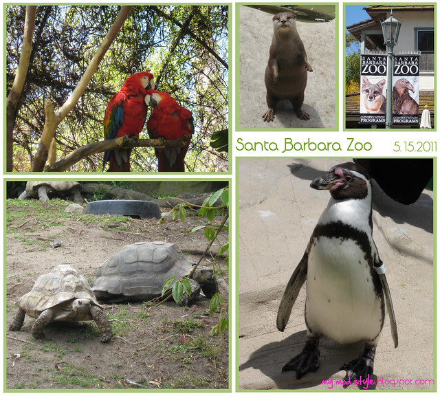 california sb zoo collage1