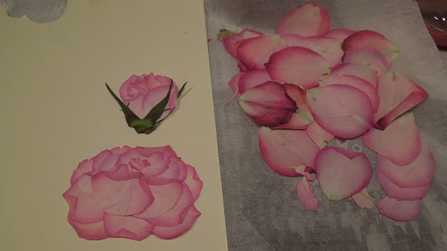 初心者でも素敵な作品が作れます 押し花の作り方まとめてみました