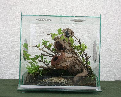 ｌｓａにとって大切なこと 心の森