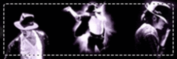 gif resize