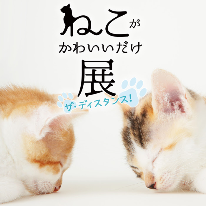 ねこがかわいいだけ展 ザ ディスタンス イベントのチケット ローチケ ローソンチケット