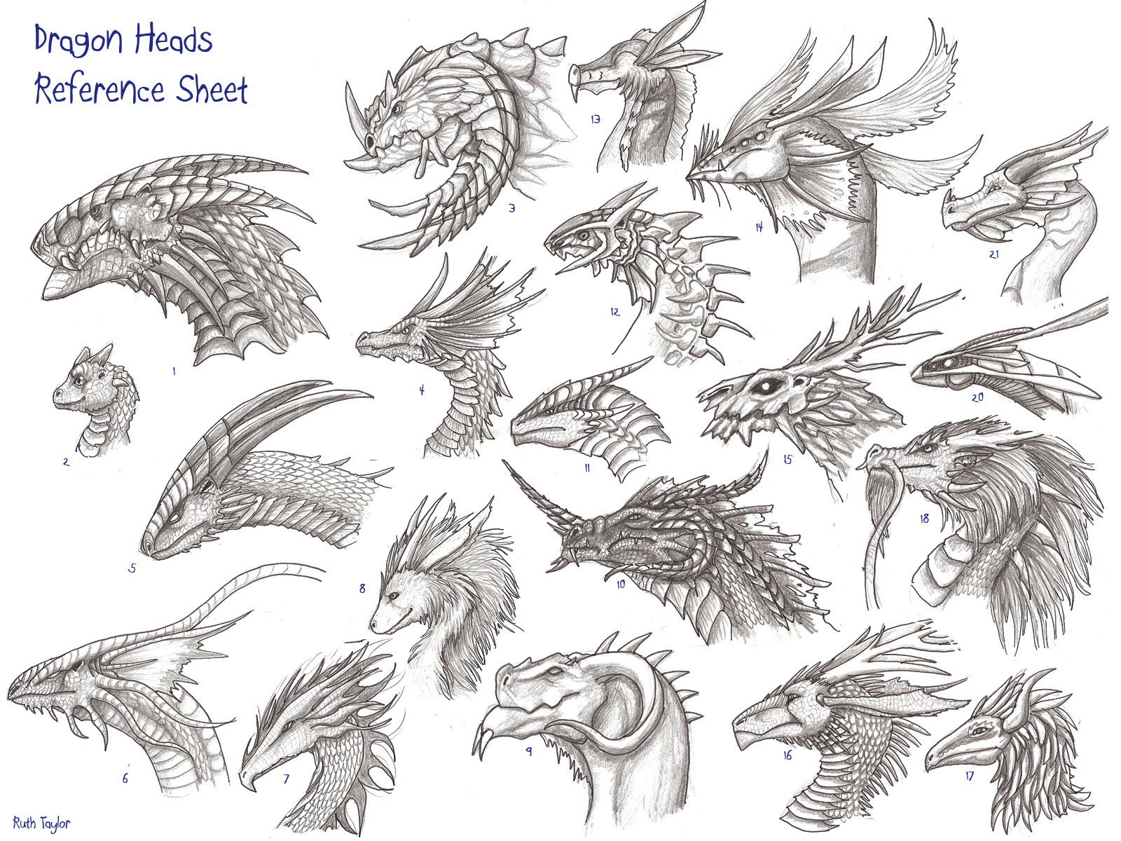 Dragonheads reference sheet by Ruth-Tay on DeviantArt