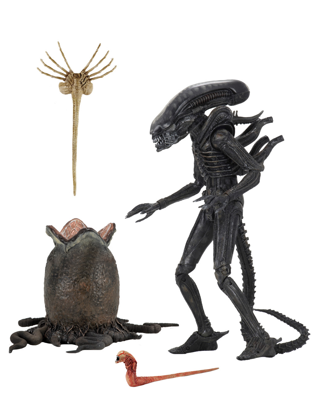 Alien 7 Scale Action Figure Ultimate 40th Anniversary - 