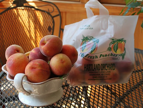 I picked a peck of peaches!