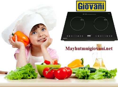 Tại sao nên dùng bếp từ Giovani G 272T?