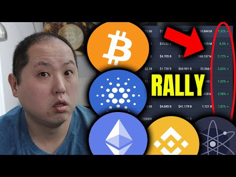 BITCOIN AND ALTCOINS RALLY | HOW HIGH WILL THEY GO?