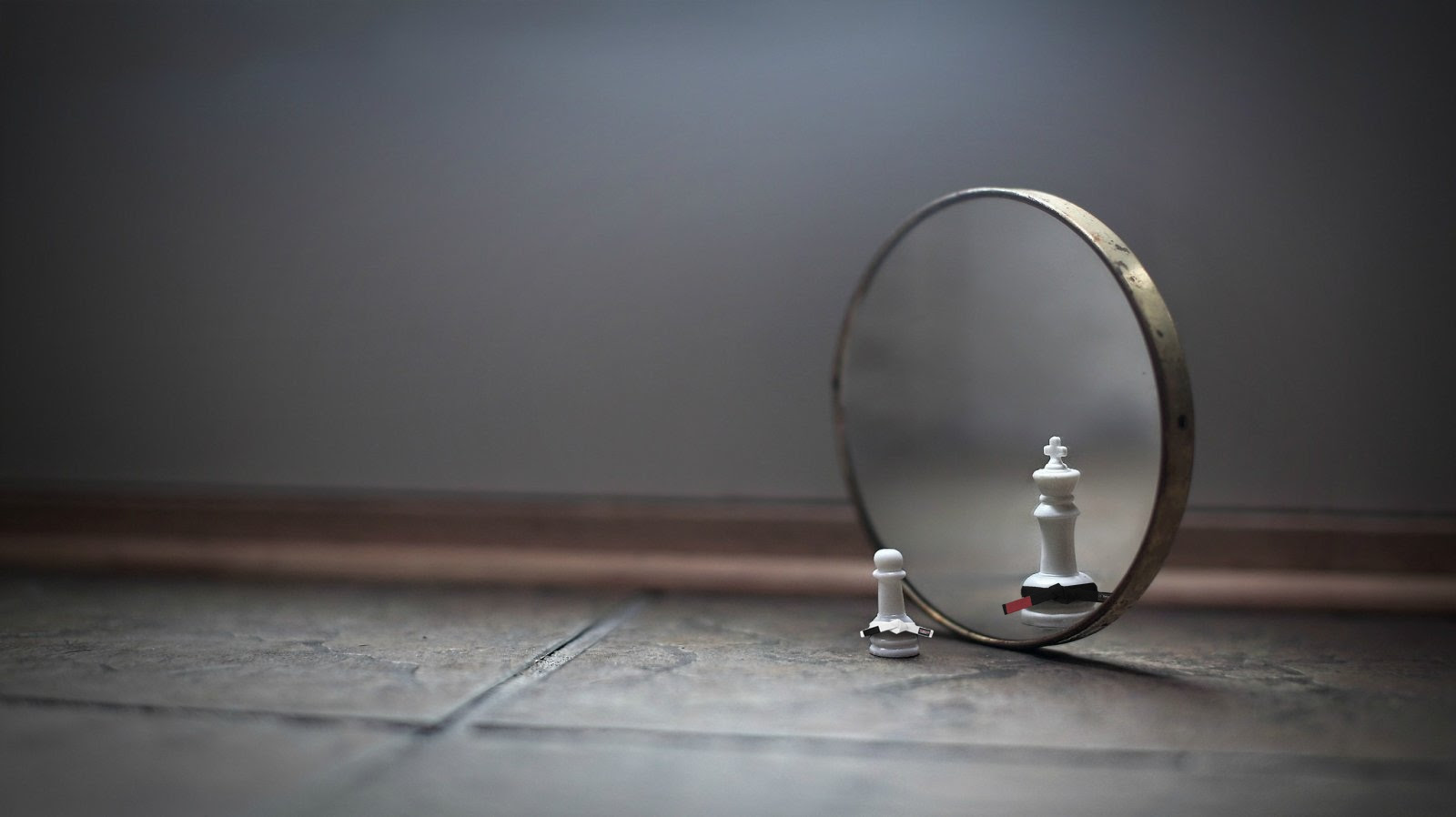 Best Bjj Wallpapers Bjj