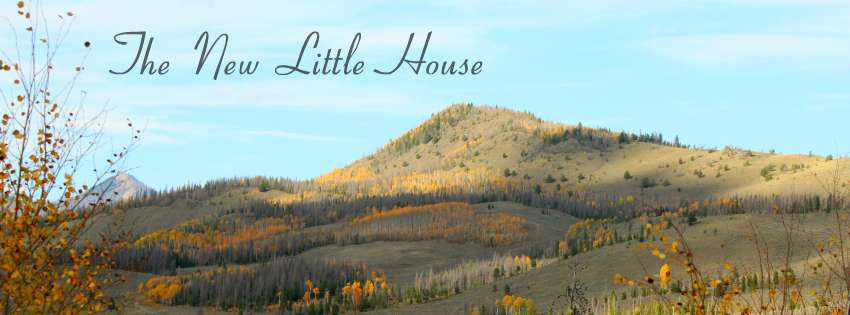 The New Little House