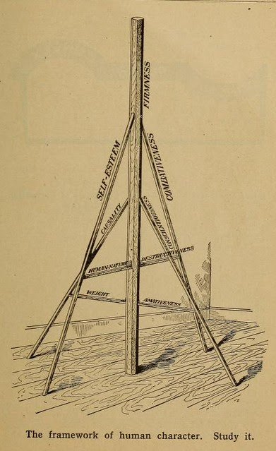Phrenology Diagram