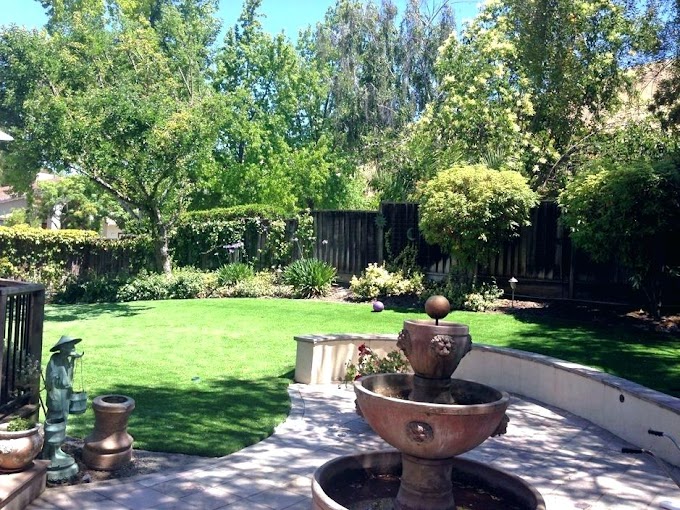 Small Florida Backyard Landscaping Ideas - Low Maintenance Ideas For Your Florida Backyard Patio Scenes Outdoor Privacy Screen / Small swimming pools are not only great for small backyard, but it is also more intimate and personal.