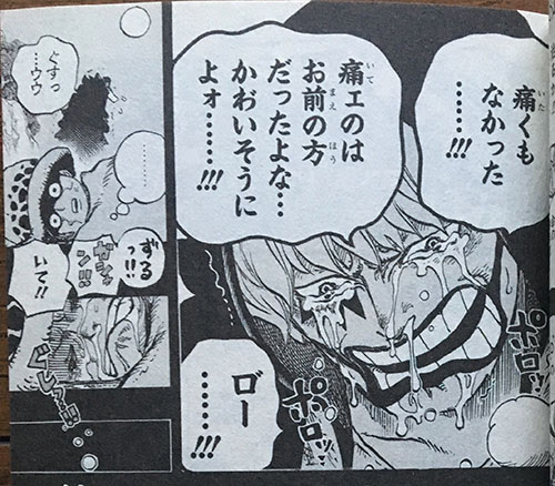 漫画 One Piece の笑って死んだ８人に注目 なぜ笑って死ねたのか を考察してみた マンガフル