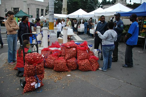 Daffodil Project Distribution, Grand Army Plaza, October 2009