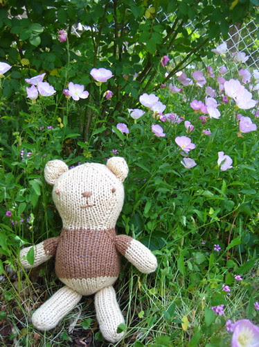bear with sundrops