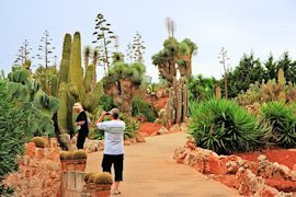 Botanische Gärten und Naturparks von Mallorca