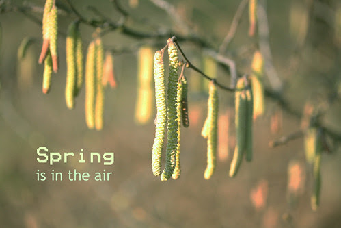 Spring is coming