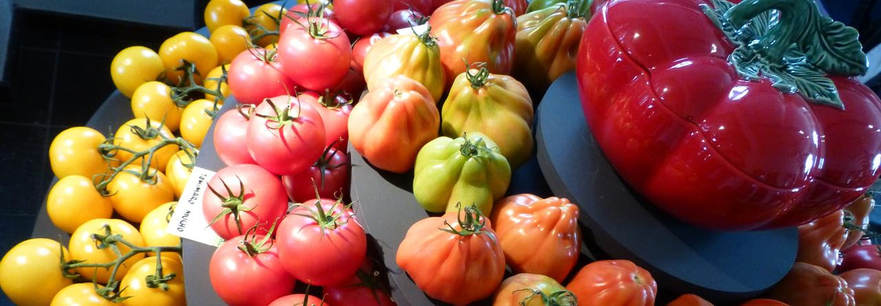 kleurrijk overzicht van tomaten in geel, roze oranje, groen en een rode soepterrine in de vorm van een tomaat aan de rechterkant van de foto