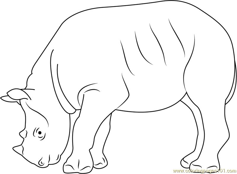 Download Black Rhino Coloring Page - Free Rhinoceros Coloring Pages ...