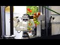 This Robot Picks Tomatoes And in addition You Ever Could