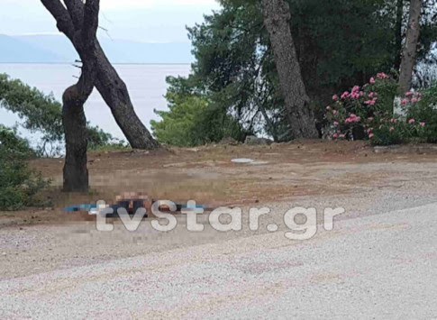 Έγκλημα στη Φθιώτιδα: Ο μεσίτης σχεδίαζε με τον δολοφόνο του business με ρουμπίνια και gay bar!