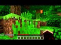 how to find the seed of a minecraft realm